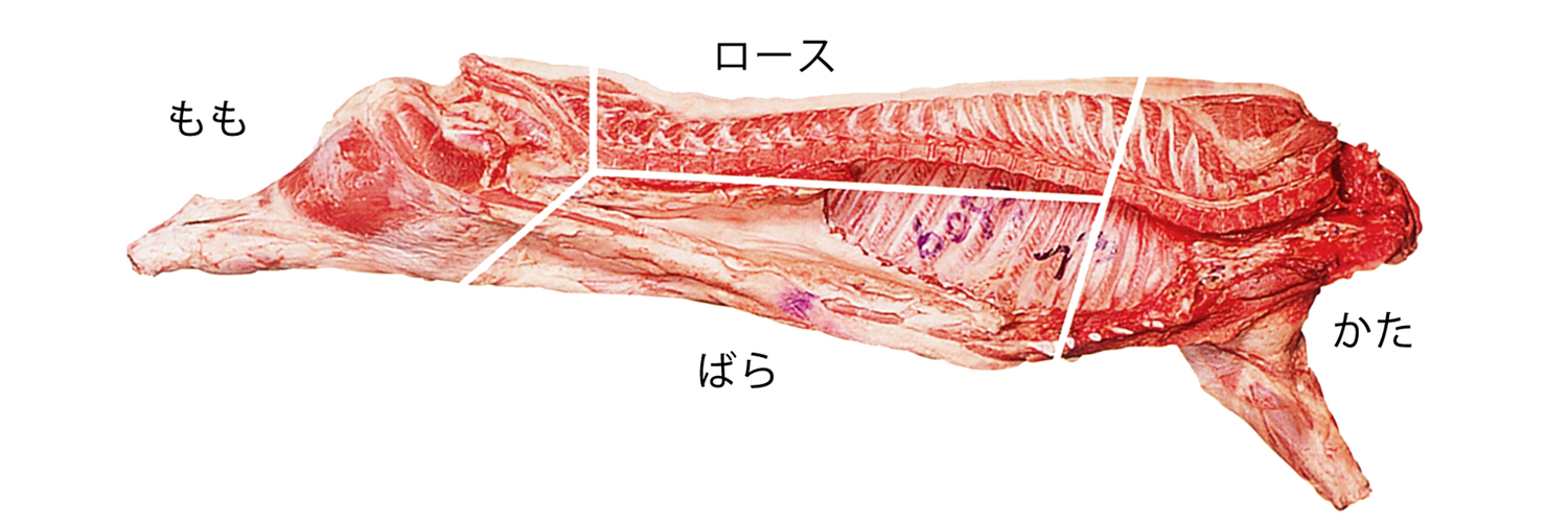 豚肉の4つの部位